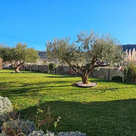 New Istrian Experience By Istrian Apartments Koper Exterior photo