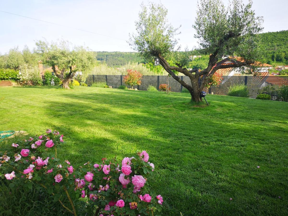 New Istrian Experience By Istrian *