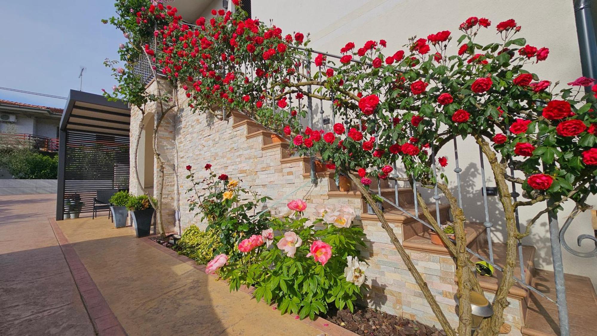 Apartment New Istrian Experience By Istrian Koper